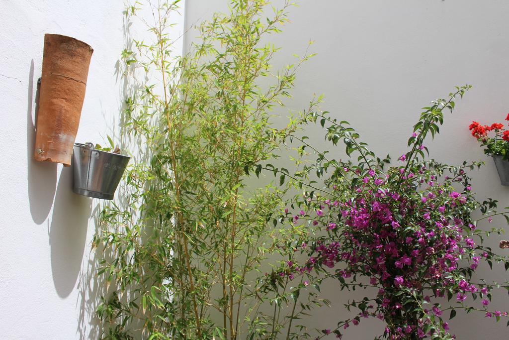 Room Tarifa Dış mekan fotoğraf