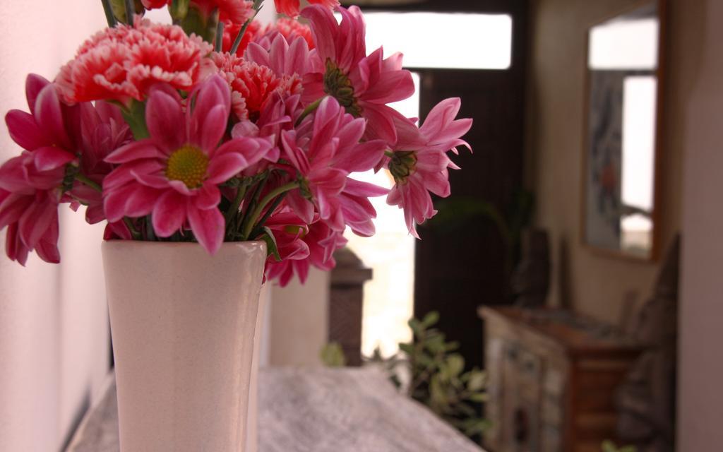 Room Tarifa Dış mekan fotoğraf